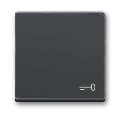 Клавиша для механизма 1-клавишного выключателя, c символом 